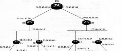 2017年計算機網(wǎng)絡技術應用試題解析與開發(fā)趨勢探討